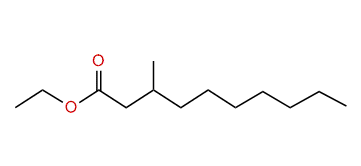 Ethyl 3-methyldecanoate